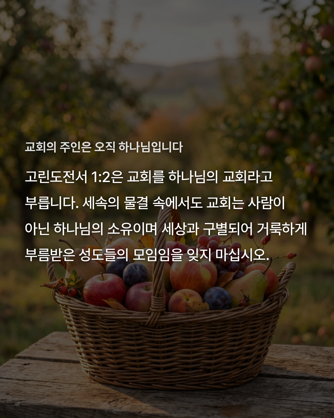 fbb728404c0c9.png