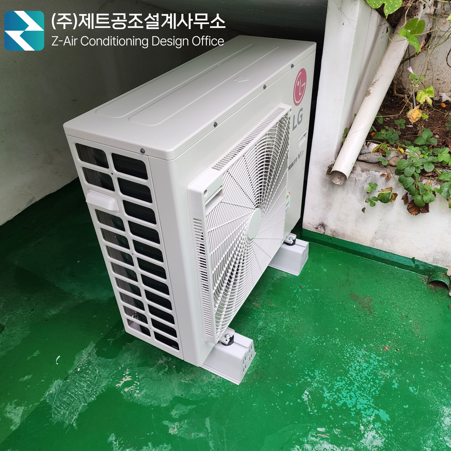 277c996ae11f9.jpg