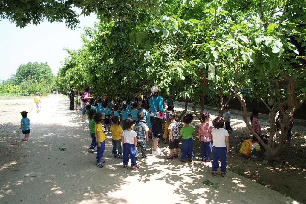 오디를 따기위해 모인 아이들