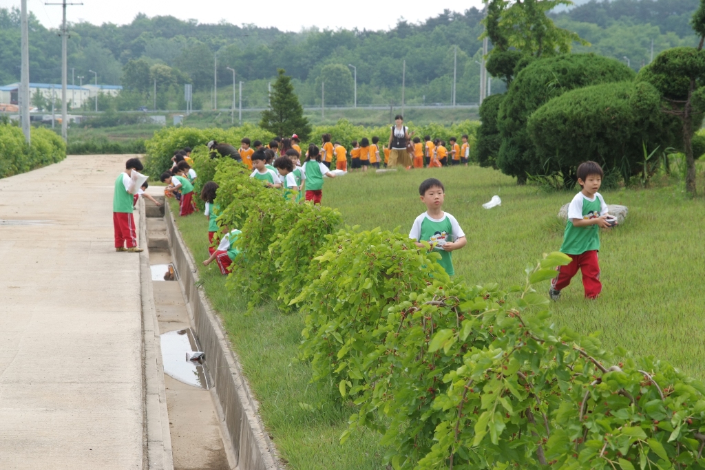 체험학습오디따기