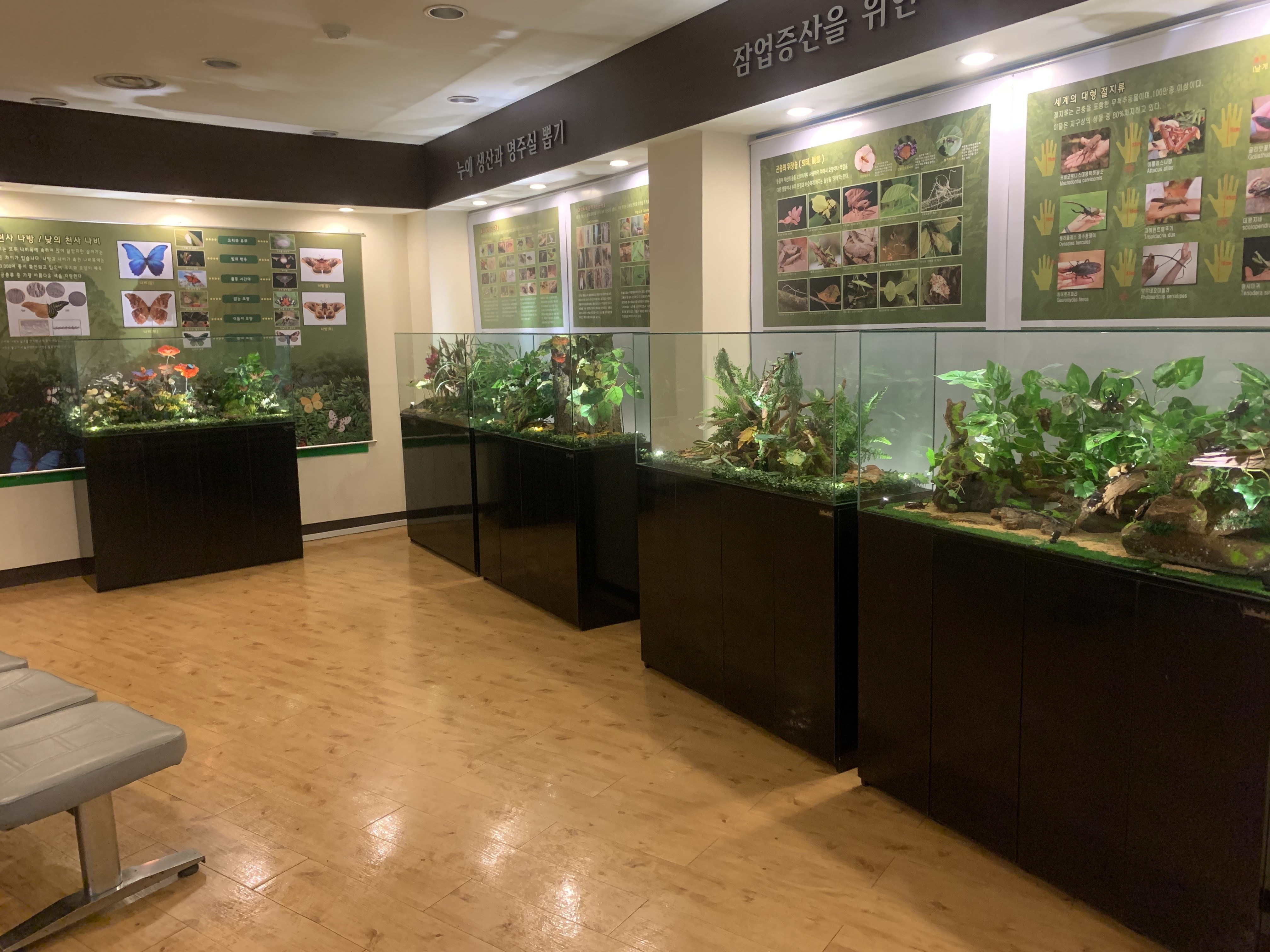  체험존 숲속양떼정원 디지털 키즈카페 비바리움&곤충학습실 체험학습교실 패밀리 바베큐장 4계절 잔디튜브 썰매장 비바리움&곤충학습실  자연 그대로를 축소해놓은 비바리움 기획전시실에는  실제 어항 테라리움 속에 소동물을 함께 넣어 감상하는 원예 활동입니다.  10여가지 소동물로 도마뱀, 개구리, 물고기, 금붕어 등 100여 개체의 동물들이 함께 살고 있으며  곤충학습실에는 나비와 나방, 사슴벌레, 지네 등 다양한 실제 곤충을 박제하여 자연을 그대로 담았습니다.  곤충학습실 사진입니다.