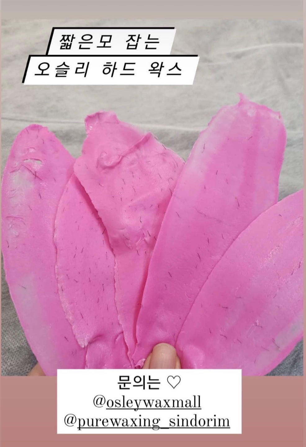 [오슬리] 첫 구매 특별 혜택 신청