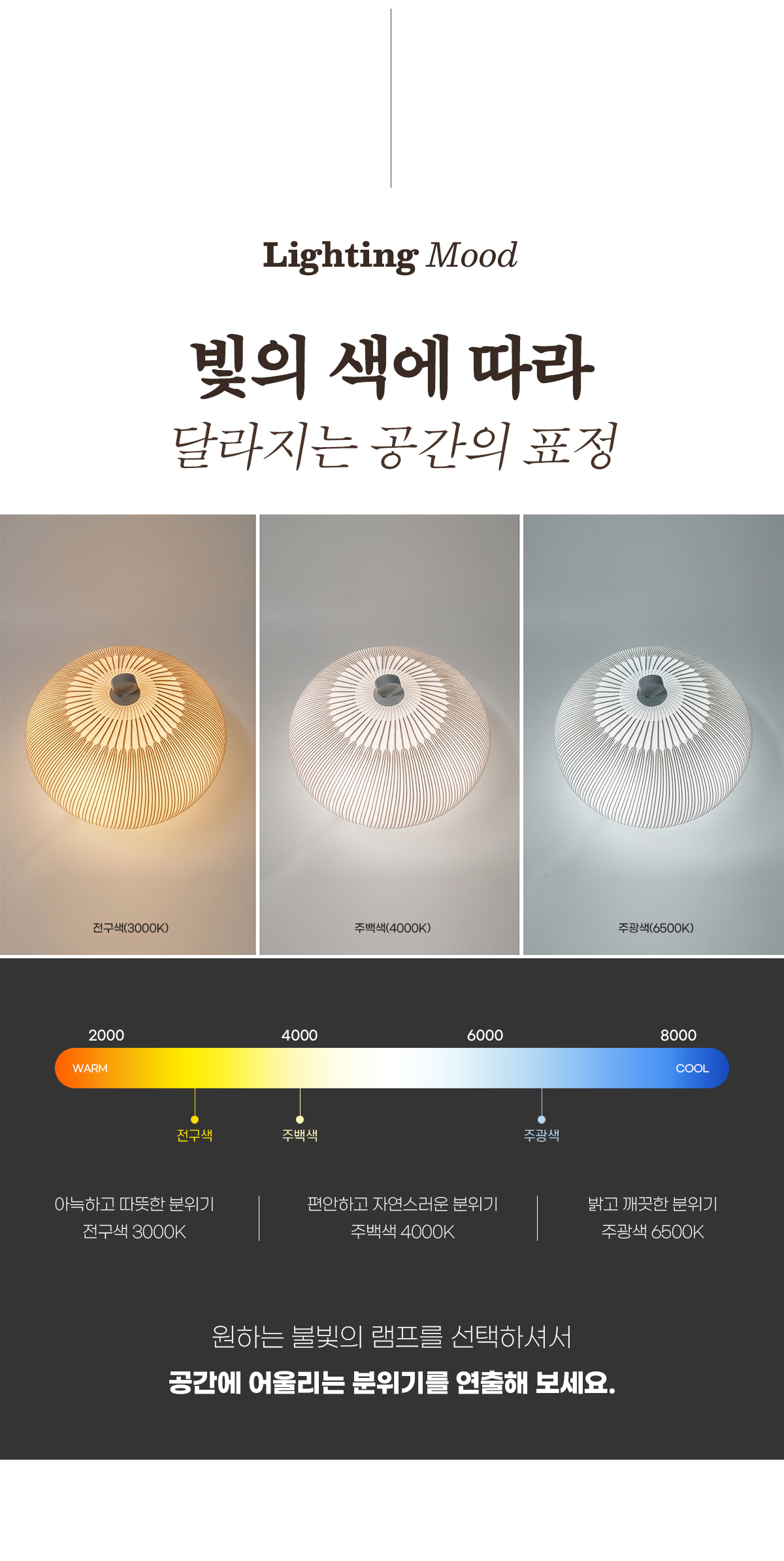 아르베일 5등 스탠드 조명 [단스탠드/장스탠드]