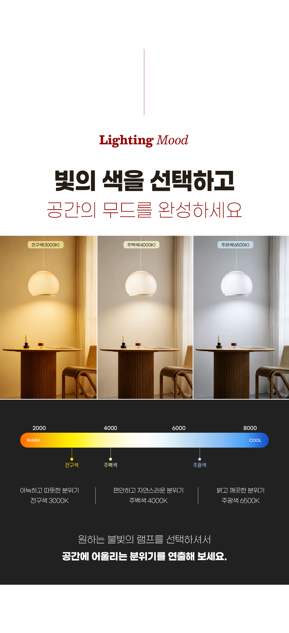 아르베일 5등 인테리어 조명 [A타입/B타입]