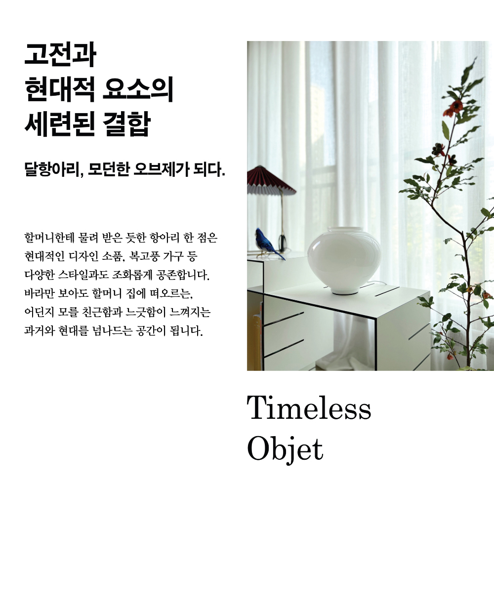 악세사리 상품 이미지-S2L21