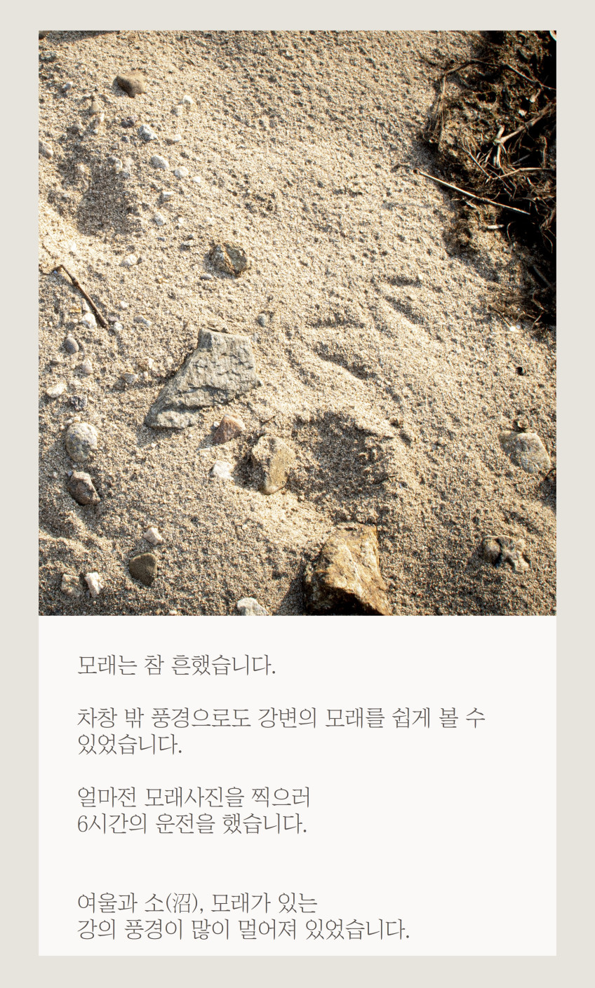 뮤트 스위치 1구~6구 [기본형,유럽형]