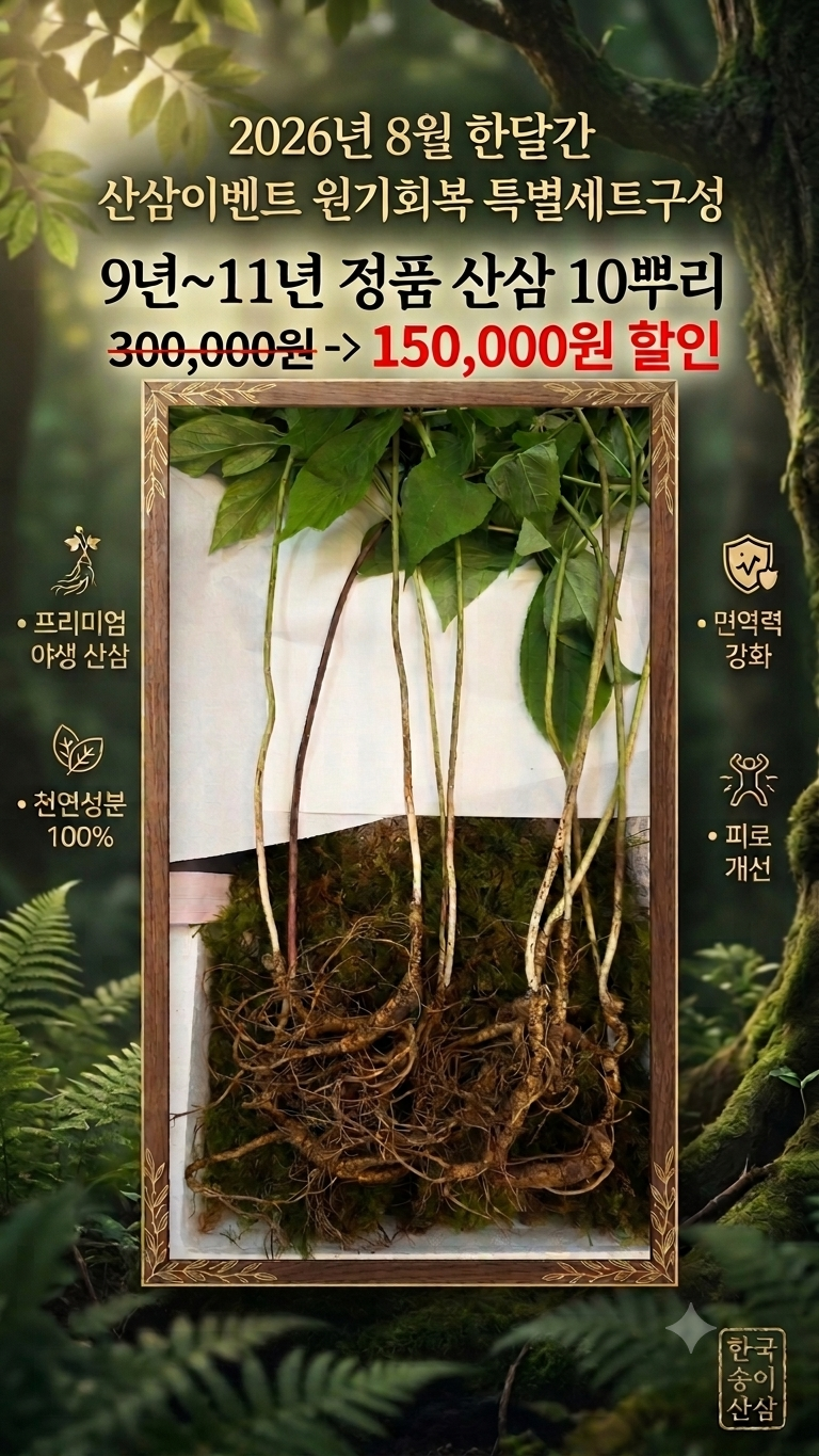8월 건강을생각하는달 특가 이벤트 9~11년산 10뿌리 150,000원 30세트 한정판매