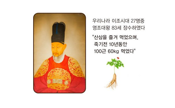 자연산 명품산삼 야생산삼 17~19년3뿌리 (14년근이하 6뿌리 증정)