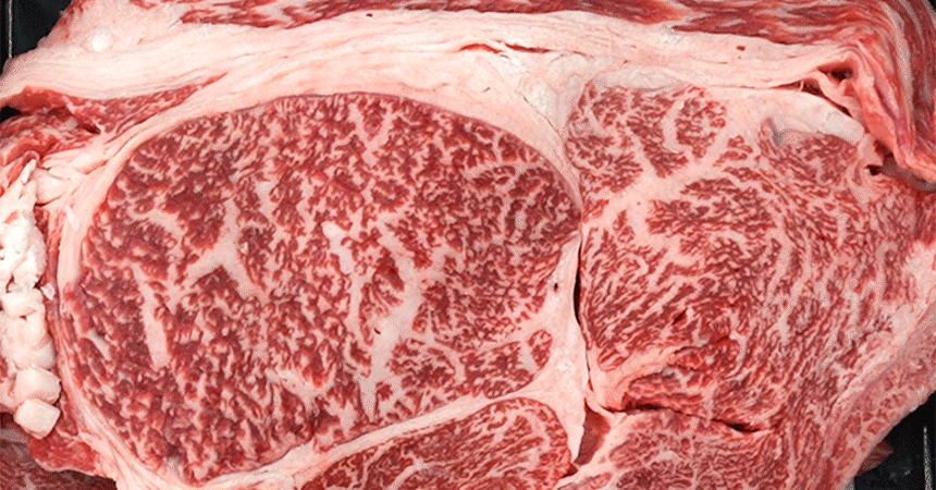 부산투쁠한우선물세트 꽃등심 1.3kg