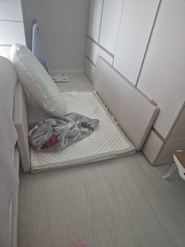 e61ab5c6c31a8.jpg