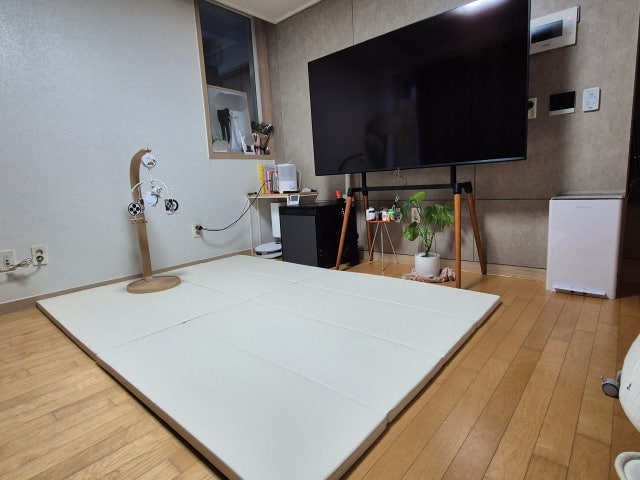 479d858e3f726.jpg
