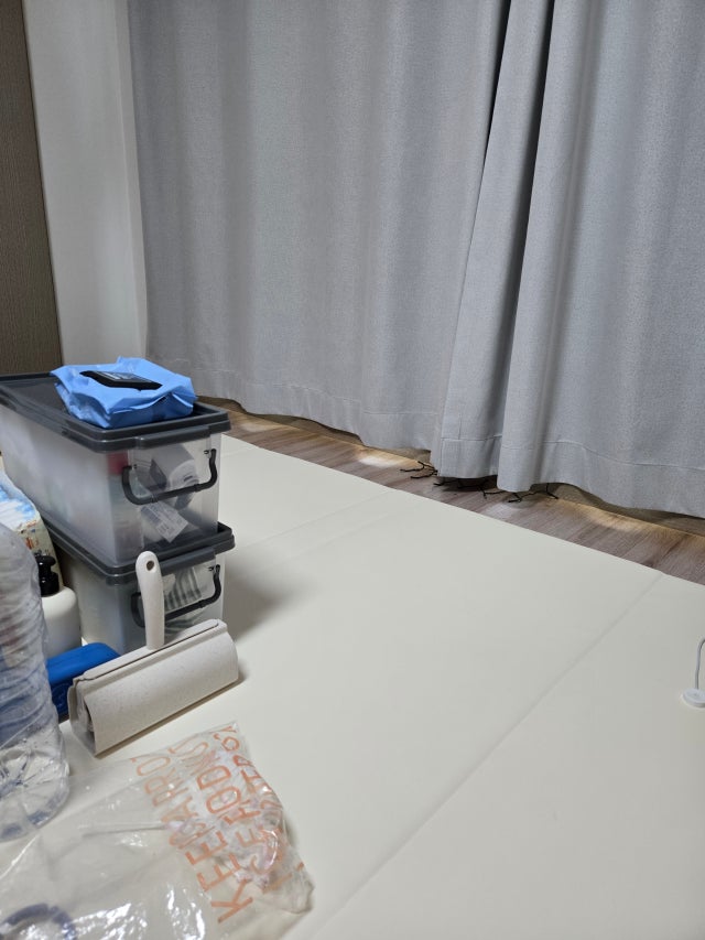 5195d409f1fbc.jpg