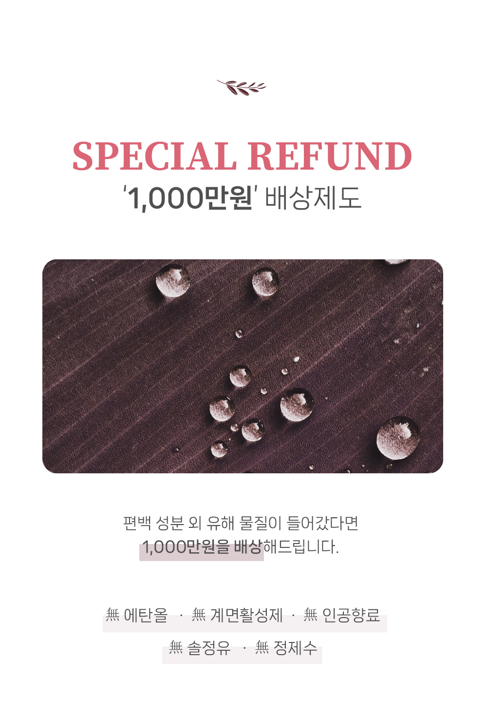 [애완용 100% 편백수] 러브포레