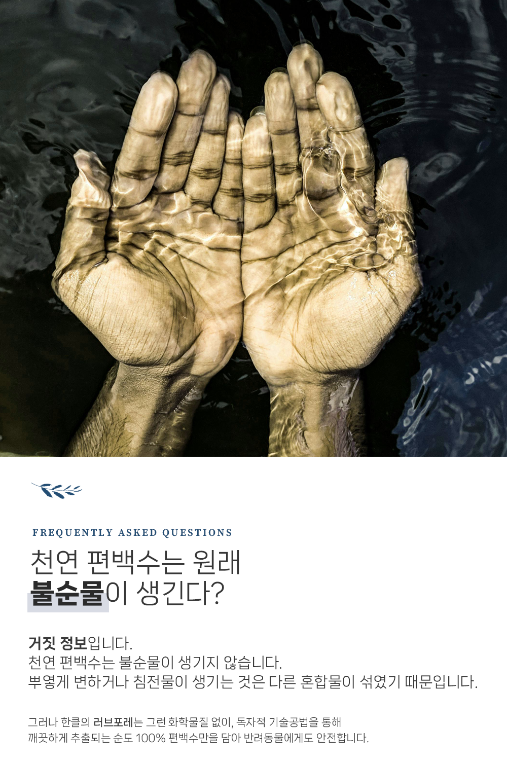 [차량용 100% 편백수] 마이카포레