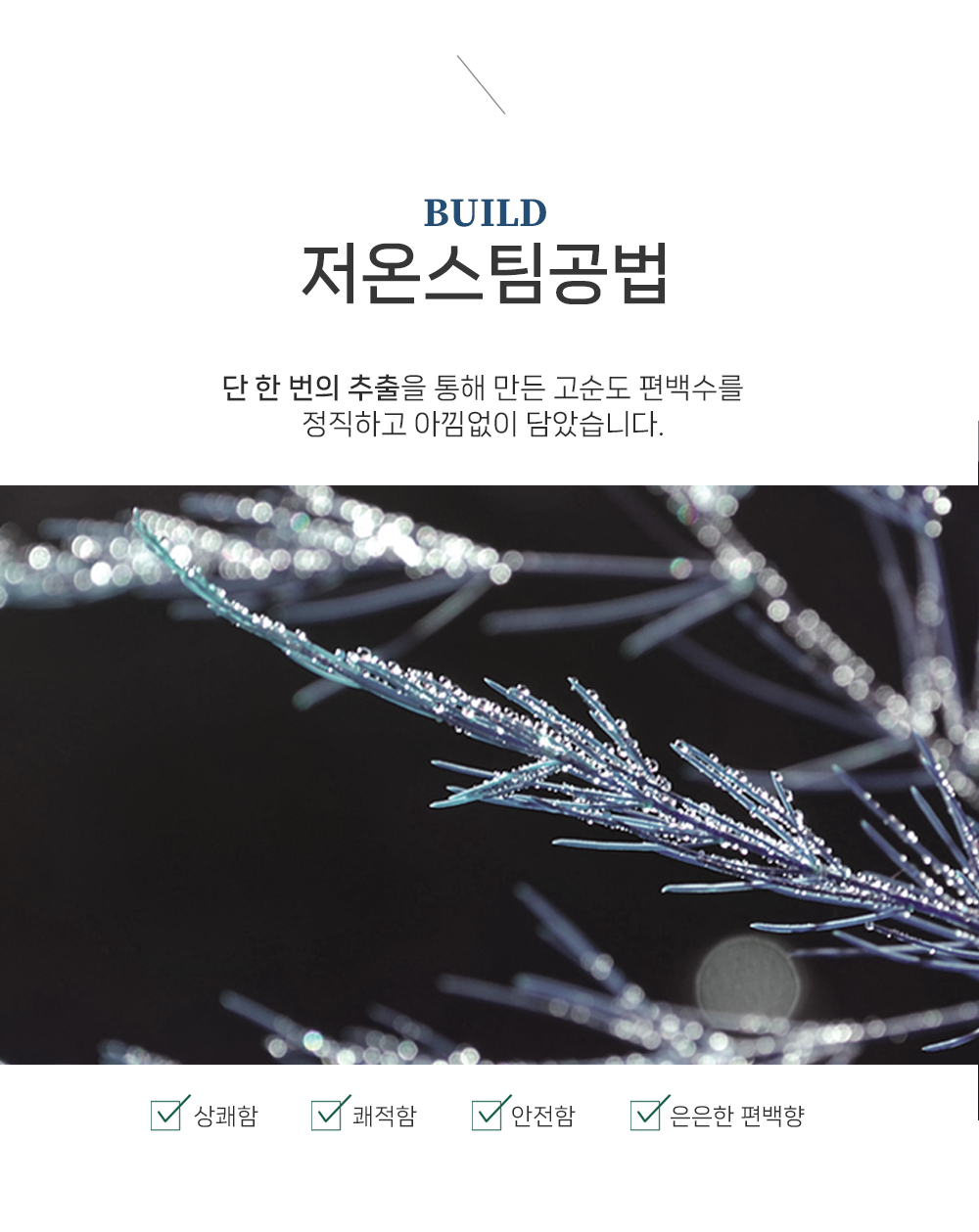 [차량용 100% 편백수] 마이카포레