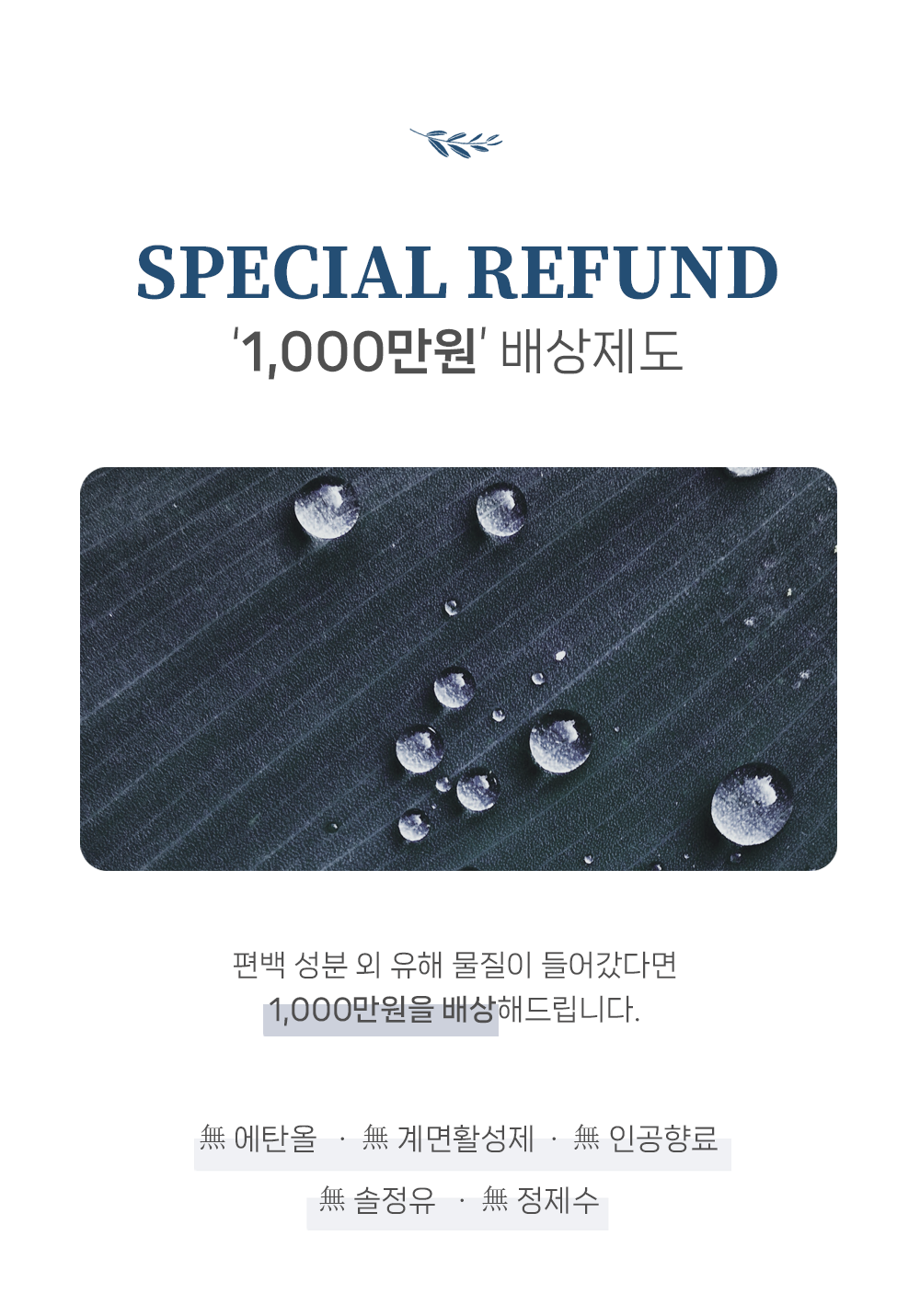 [차량용 100% 편백수] 마이카포레