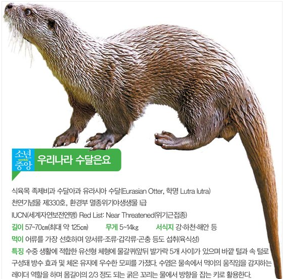 1431b831986b5.png