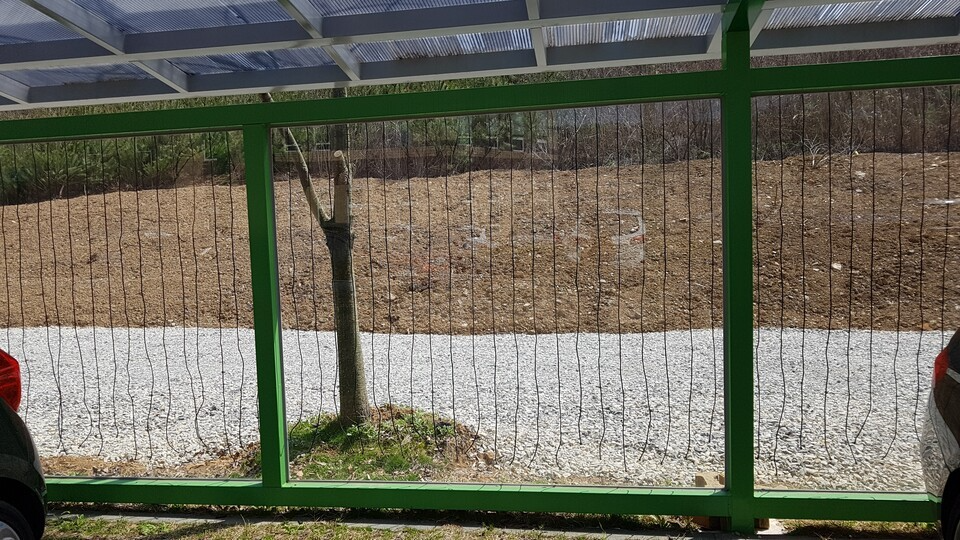 (사진 국립생태원 김영준 실장 제공)/뉴스펭귄