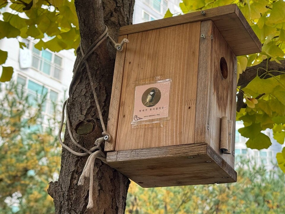 학생들이 직접 설치하고 관찰하는 인공둥지. 교목 곳곳에 있다. (사진 우다영 기자)/뉴스펭귄