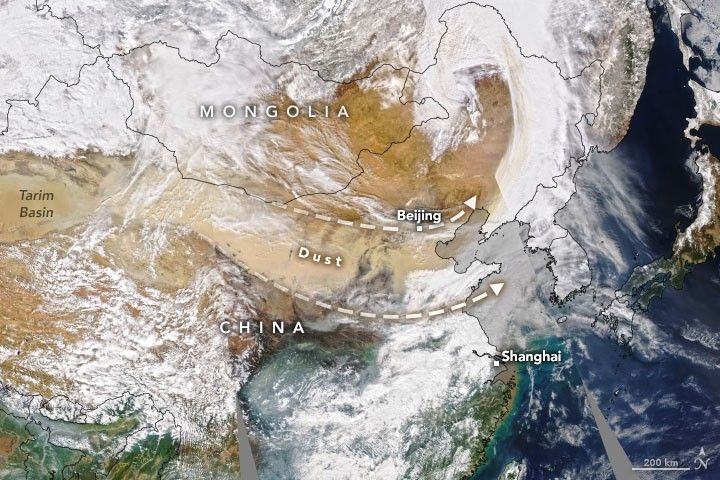 9d51f49702b88.jpg