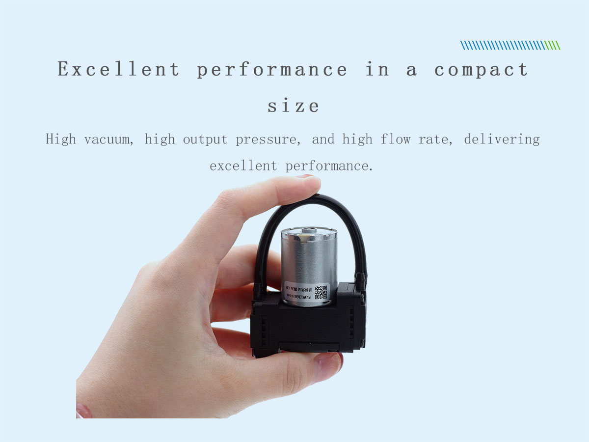 [Hilintec] D15 Dual-Head Positive Negative Pressure Mini Gas Pump