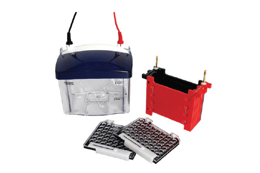 [VISION] Mini Transfer Electrophoresis Tank EPV2T