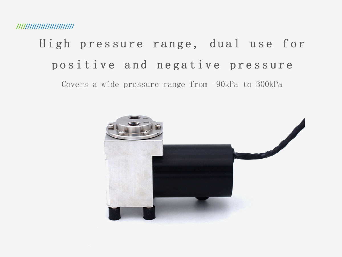 [Hilintec] D37TS Adjustable Speed High Airtightness Positive Negative Pressure Diaphragm Pump