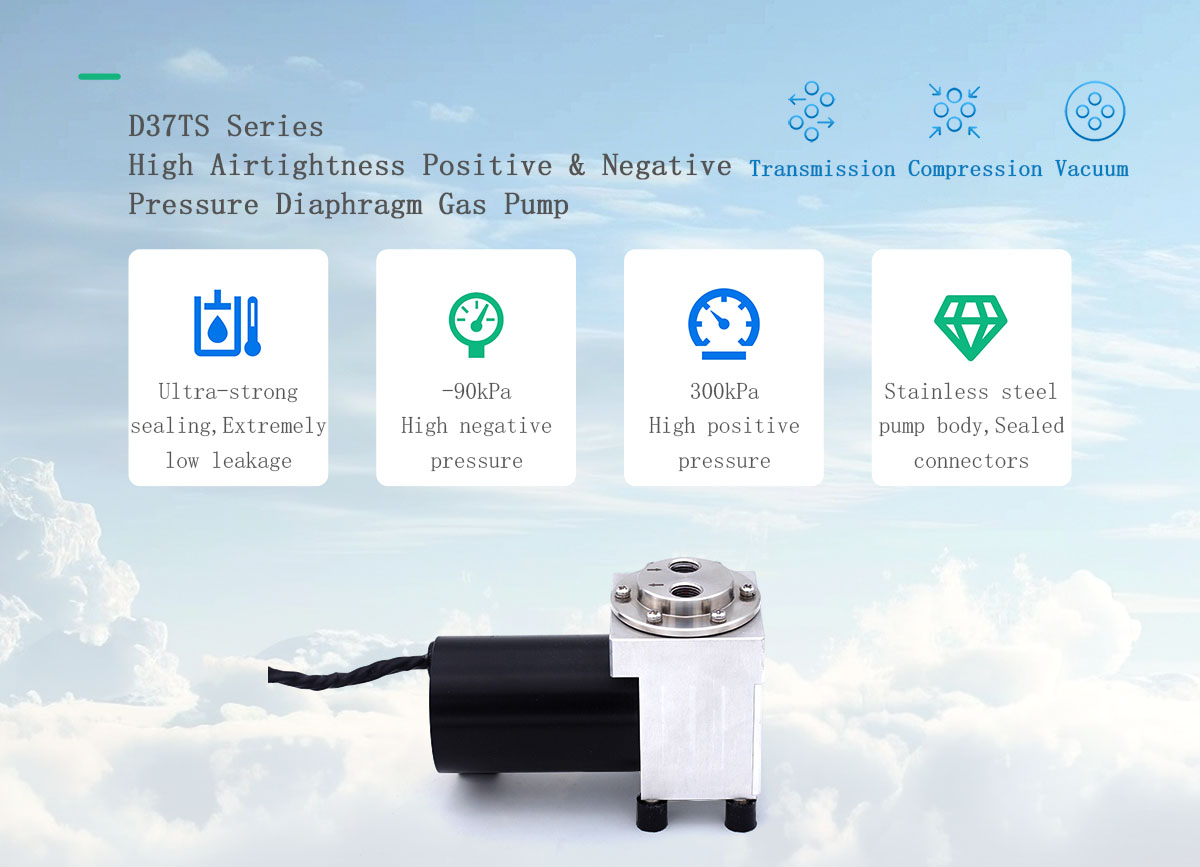 [Hilintec] D37TS Adjustable Speed High Airtightness Positive Negative Pressure Diaphragm Pump