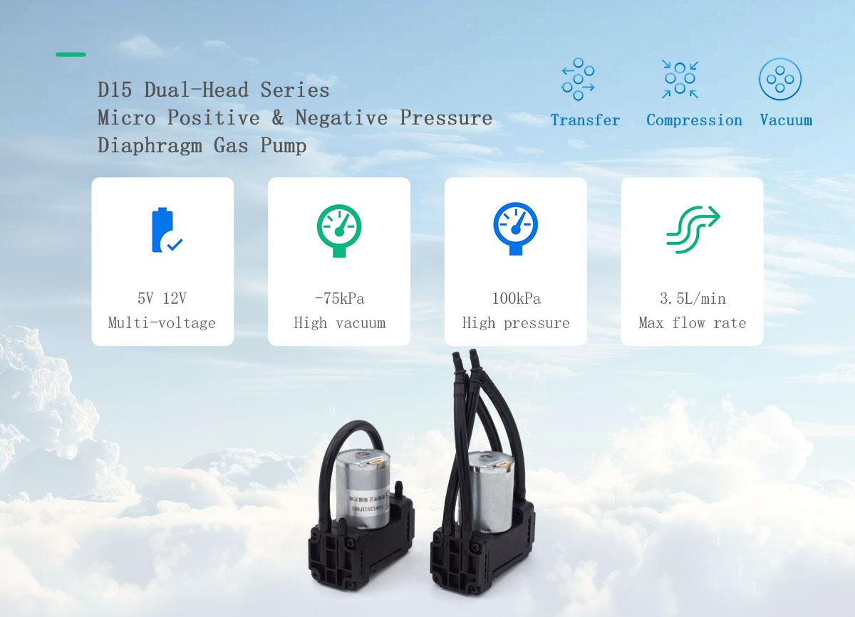 [Hilintec] D15 Dual-Head Positive Negative Pressure Mini Gas Pump