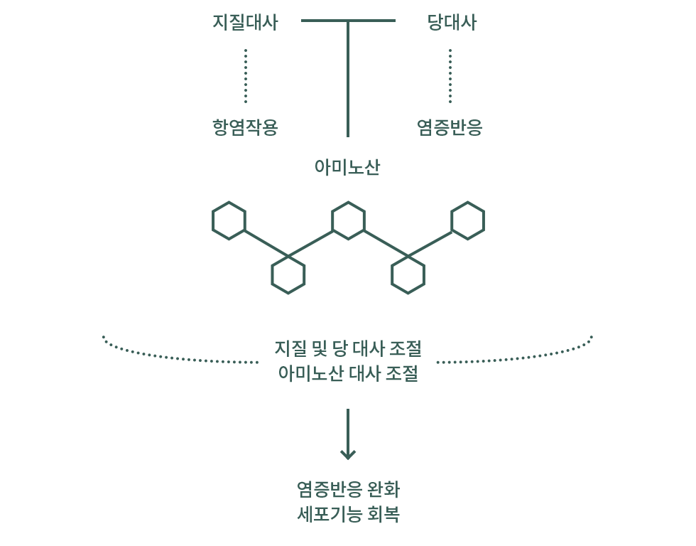지질 아미노산 당 대사 설명 도식