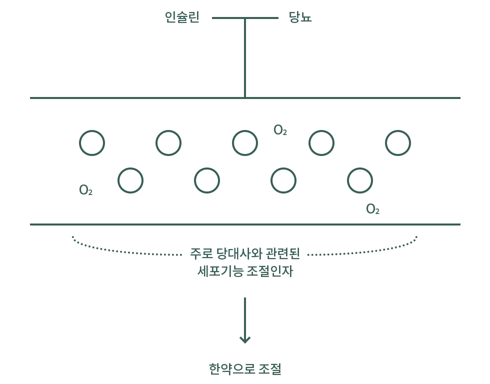 PI3K Akt 세포경로 설명 도식