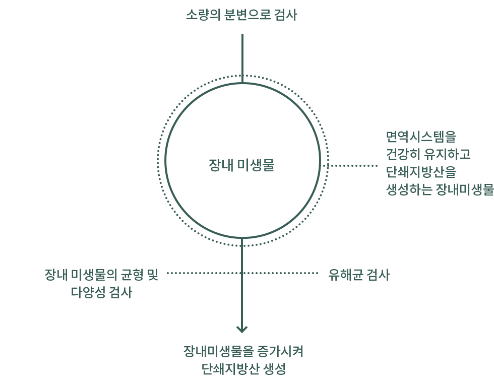 장내미생물과 단쇄지방산 설명 도식