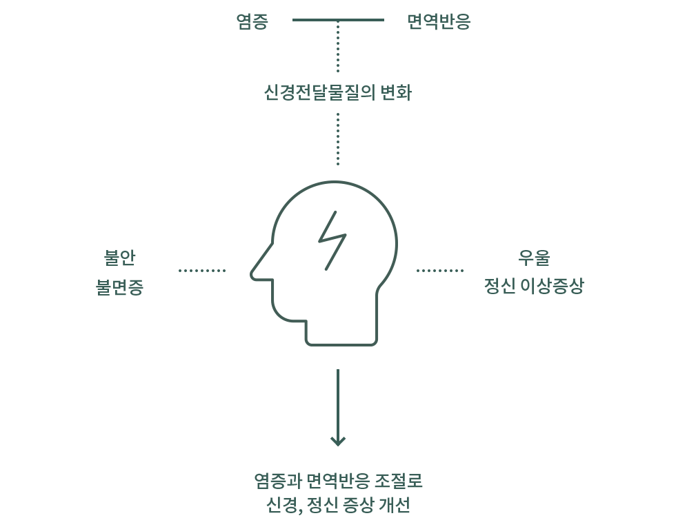 신경전달물질 설명 도식