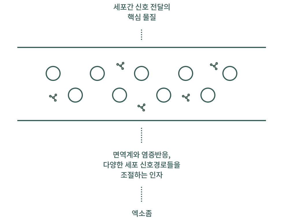 엑소좀 microRNA 경로 설명 도식