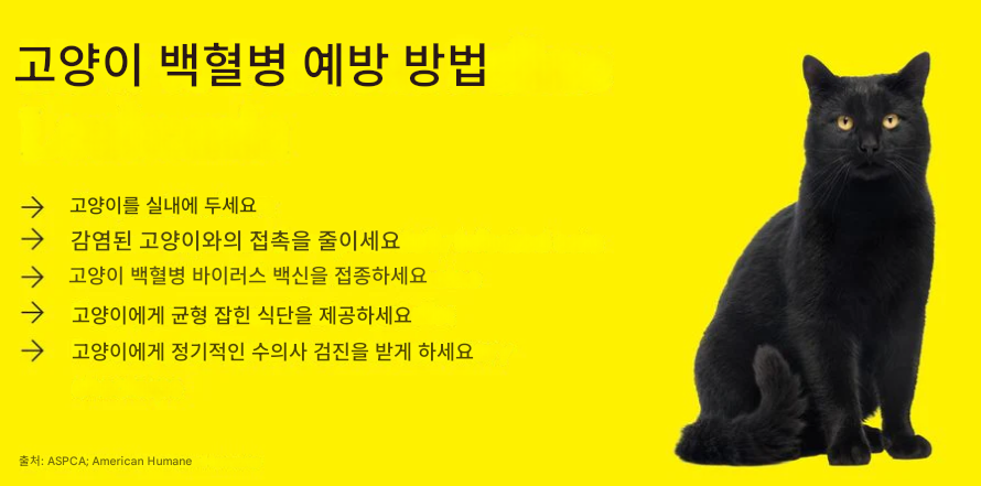 c0ed068ad4699.png