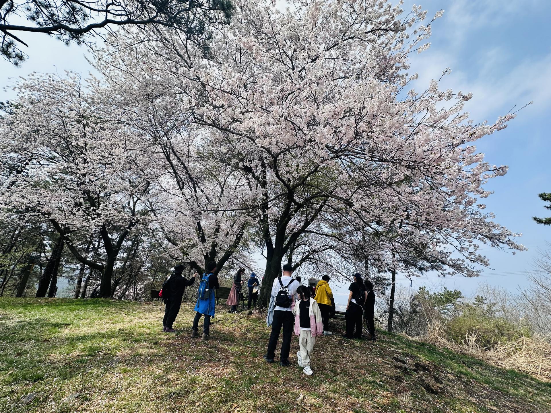 0c940ae099c80.jpg