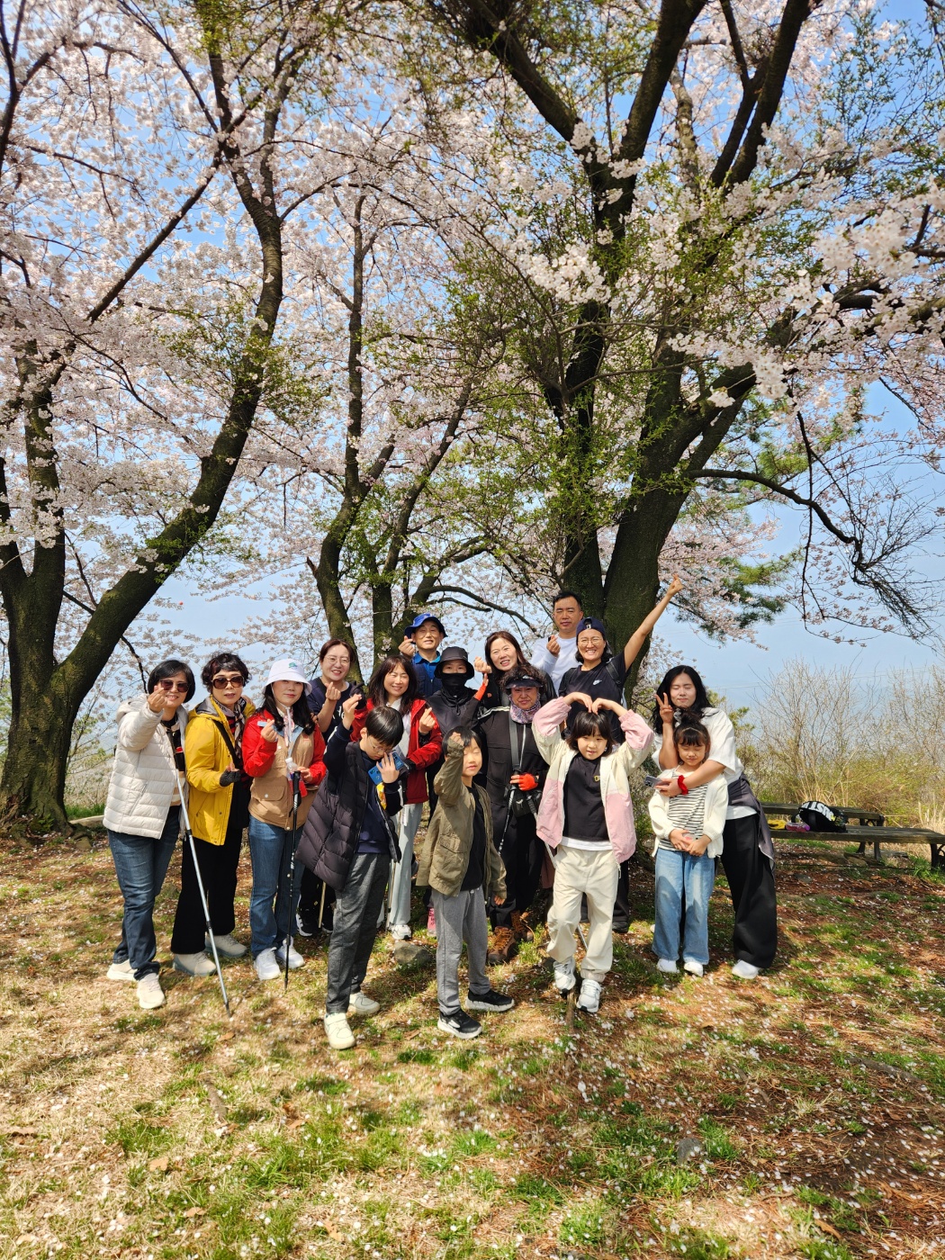 7c83889ef38d3.jpg