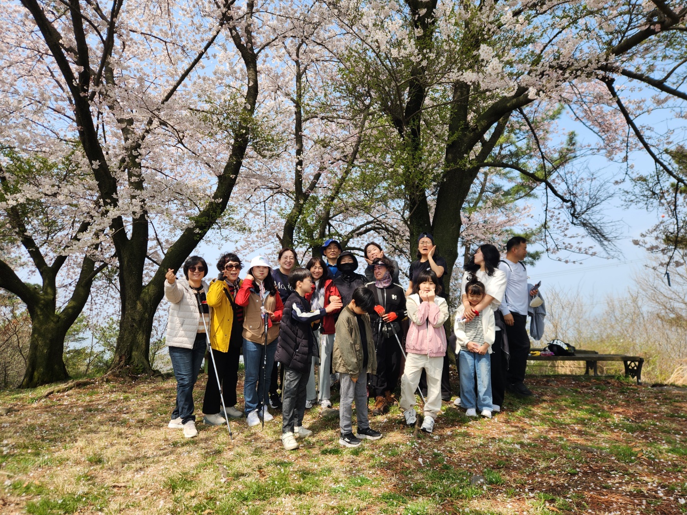 a298f145139b0.jpg