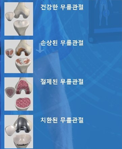 263677758f3f5.png