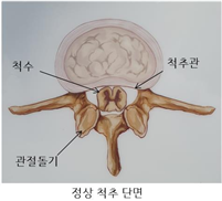 bd41c35618b64.png