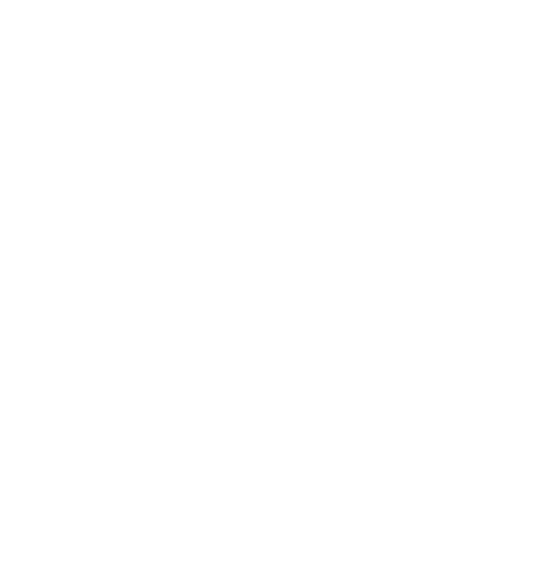 SAPI Logo