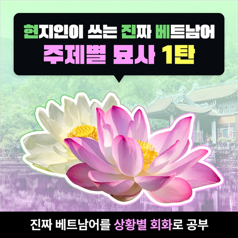 [무료] 유료강의 무료체험