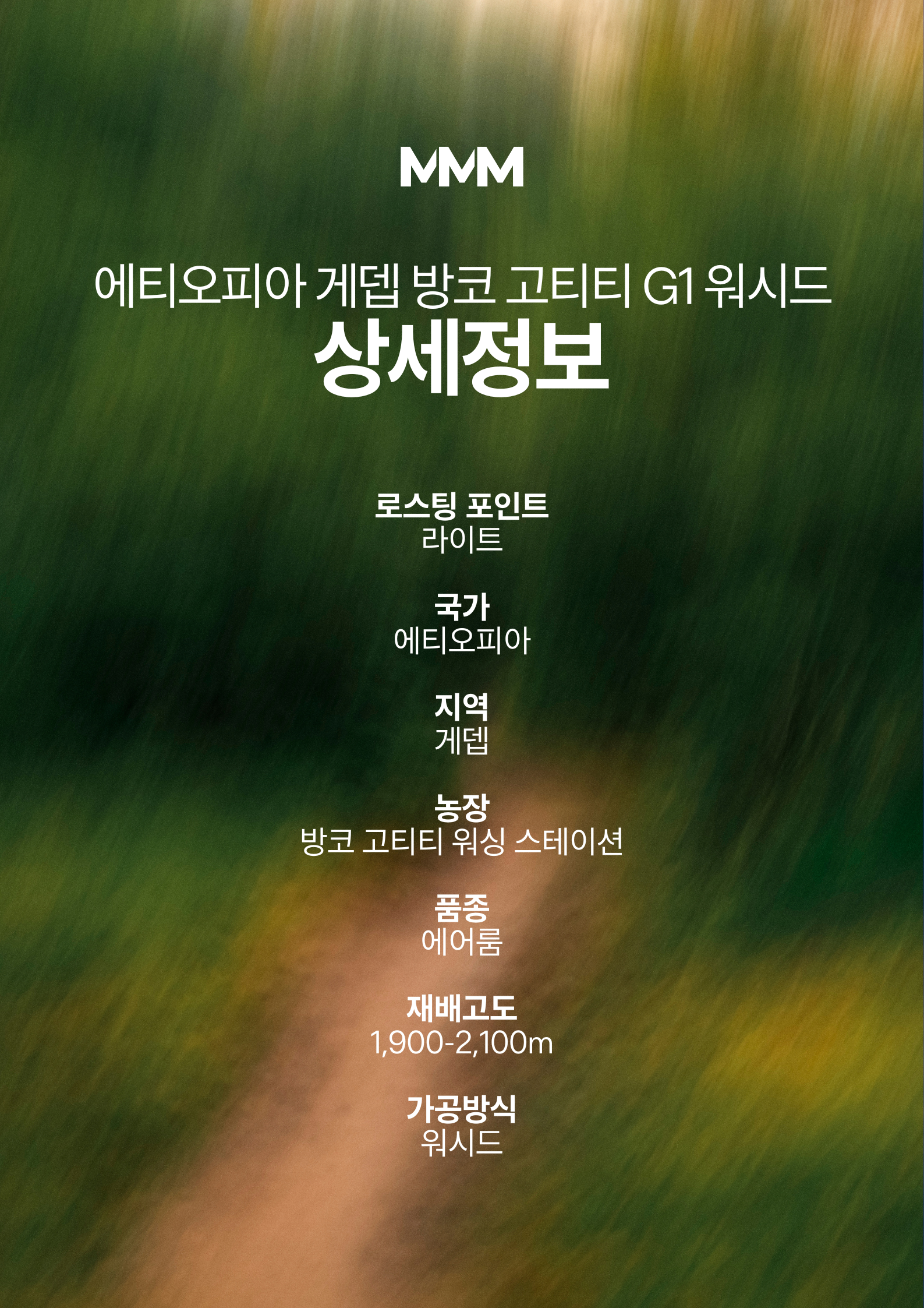 엠엠엠커피 에티오피아 게뎁 방코 고티티 G1 워시드