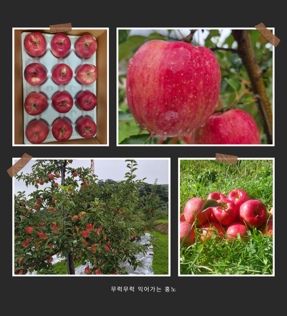 bdce729d24874.png