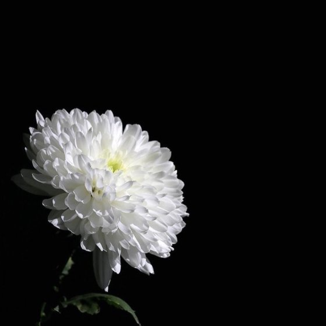 49d5701eeb1a0.png