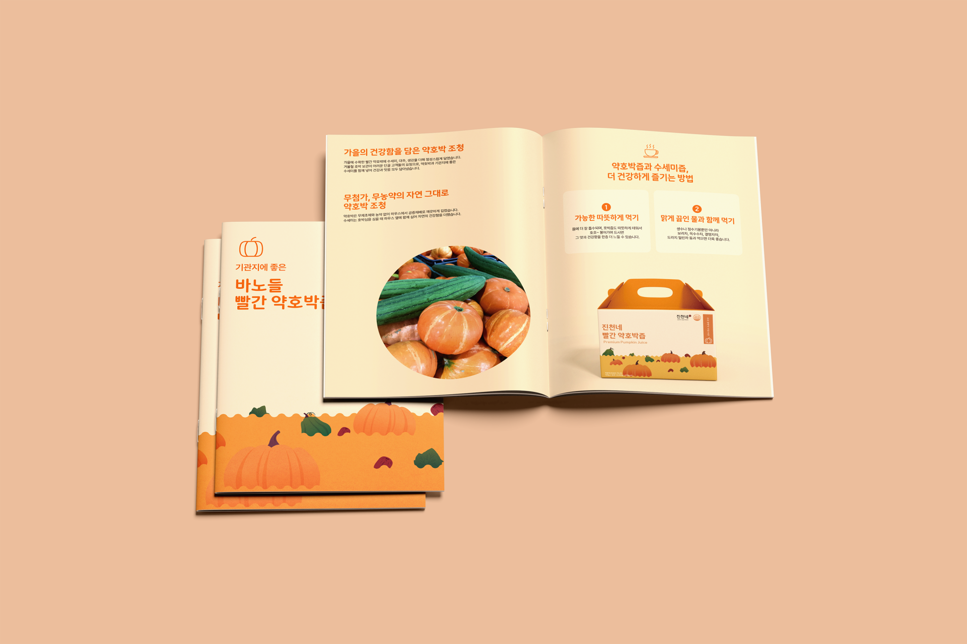 Banodeul Brochure Sub Visual