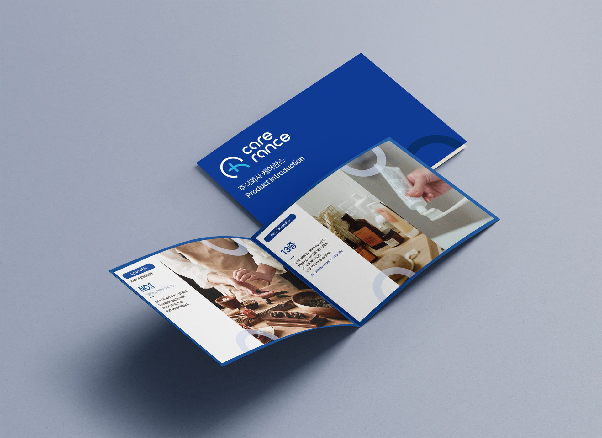 Care Lance Brochure Sub Visual