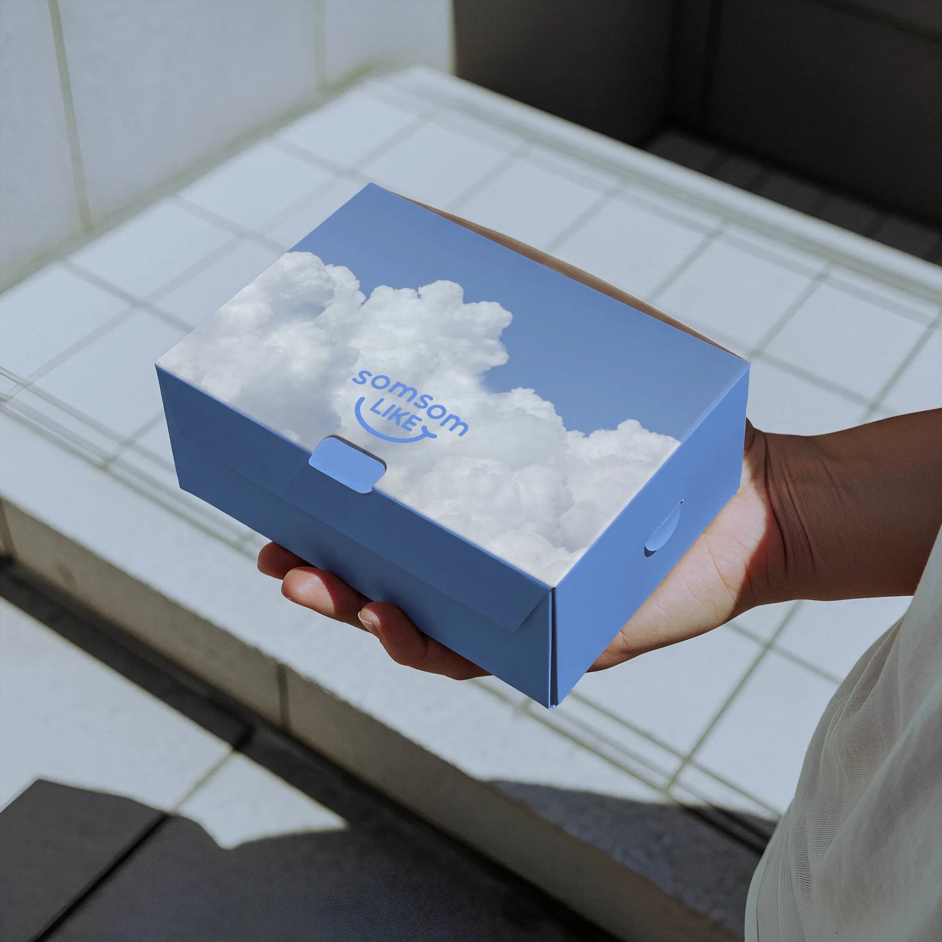 SOMSOMLIKE Picnic Detail 03