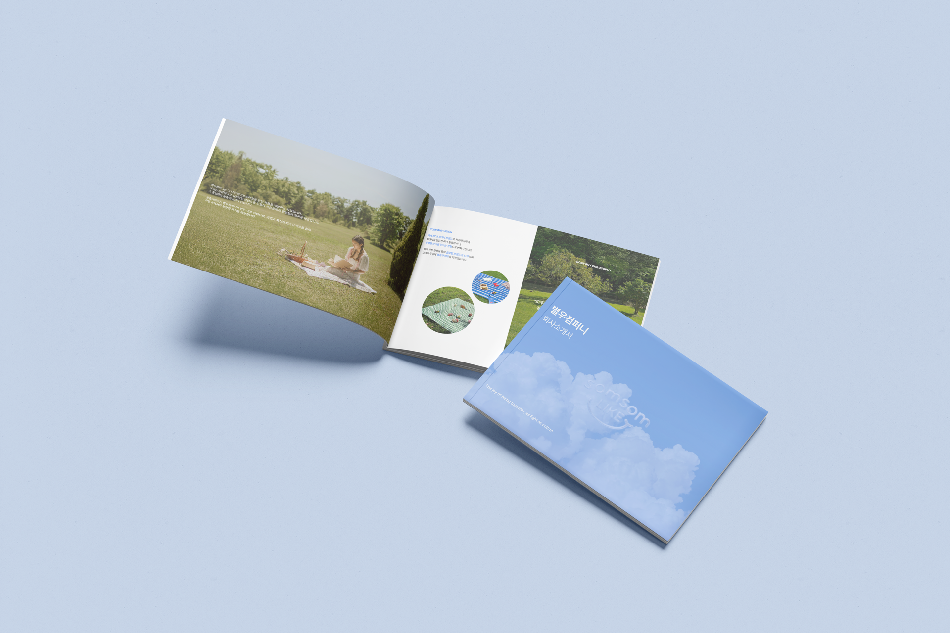 Somsom Like Brochure Sub Visual