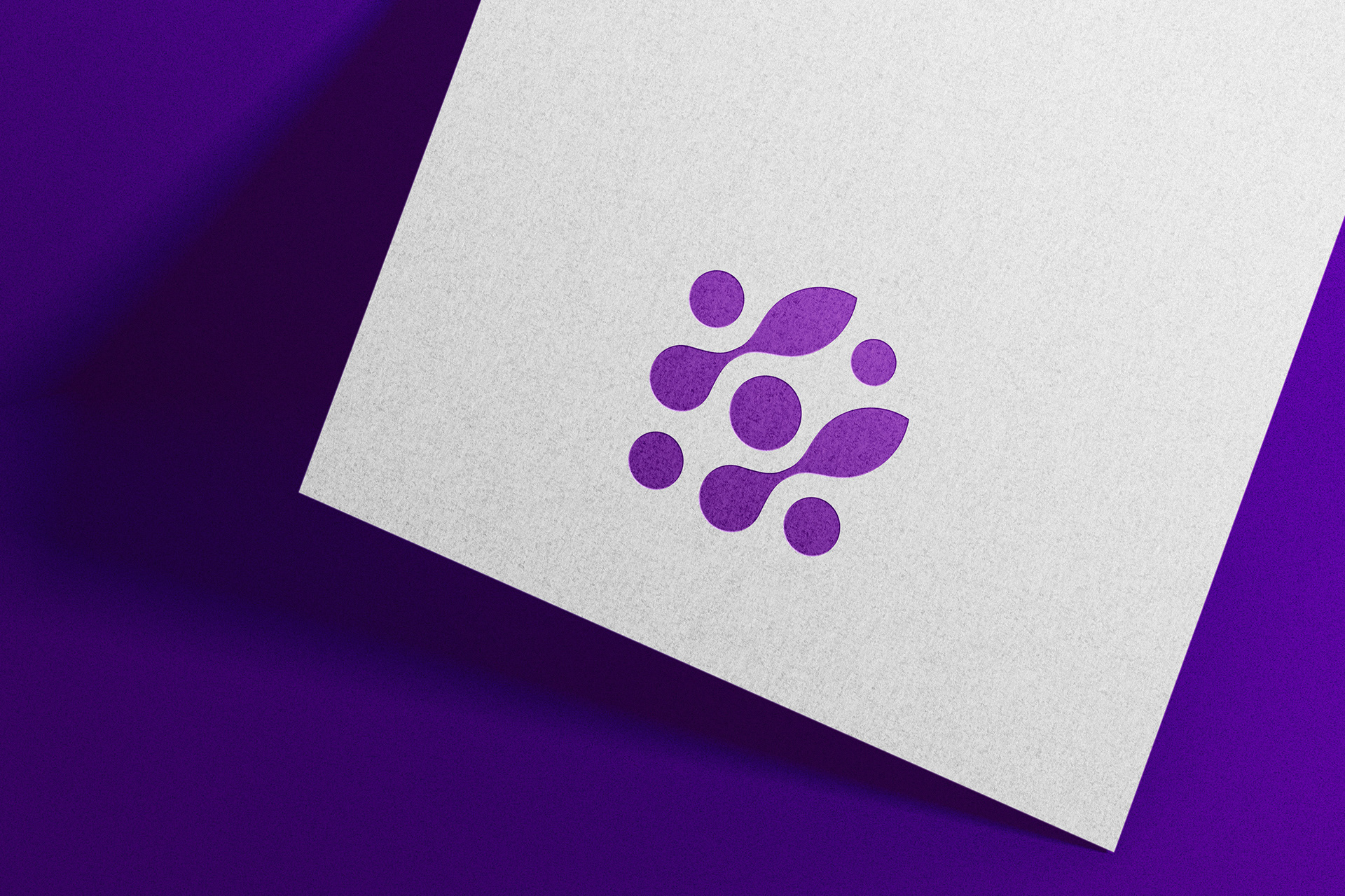 ACLIV Application Visual 02